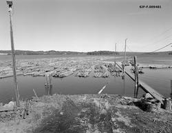 Tømmeropptak fra Bjørnstadbrygga ved Femsjøen i Halden i Øst