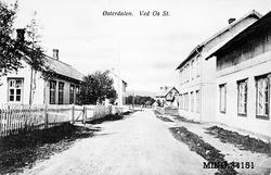 "Østerdalen. Ved Os St."