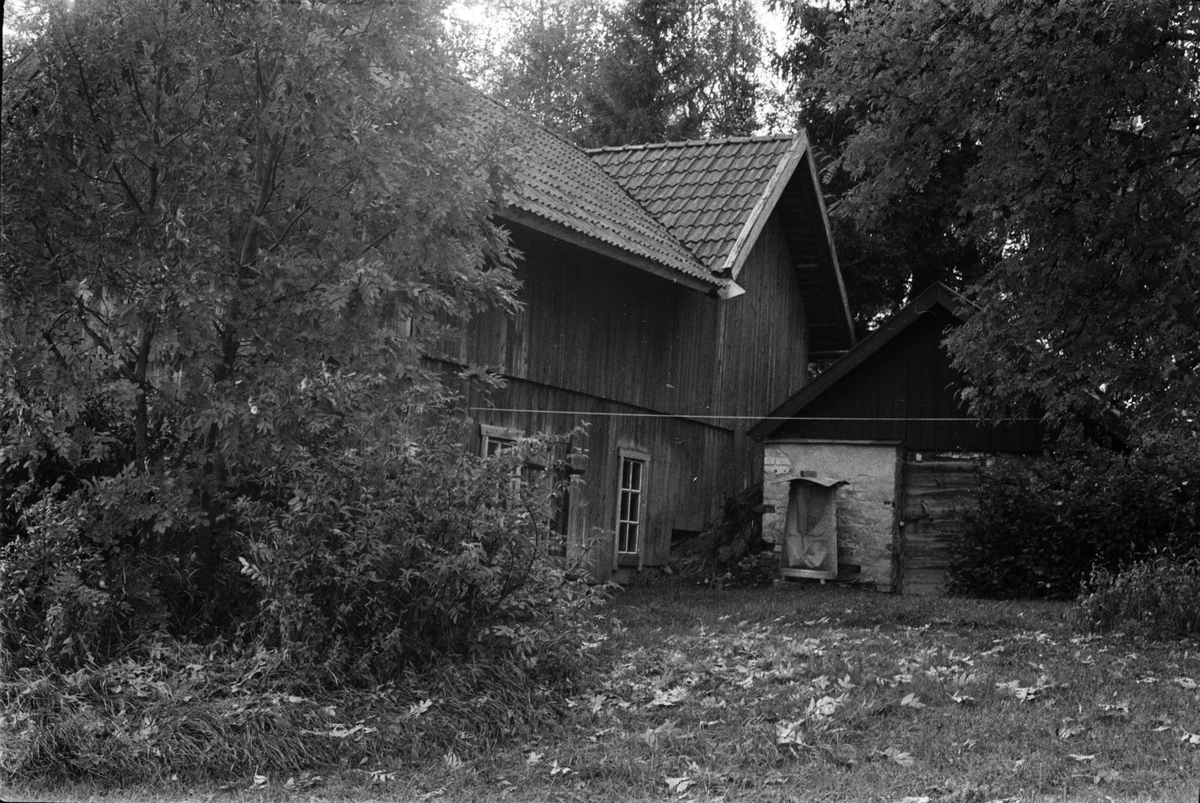 Ladugård, lada och källare, Råsta 1:7, Råstaberg, Tensta socken, Uppland 1978