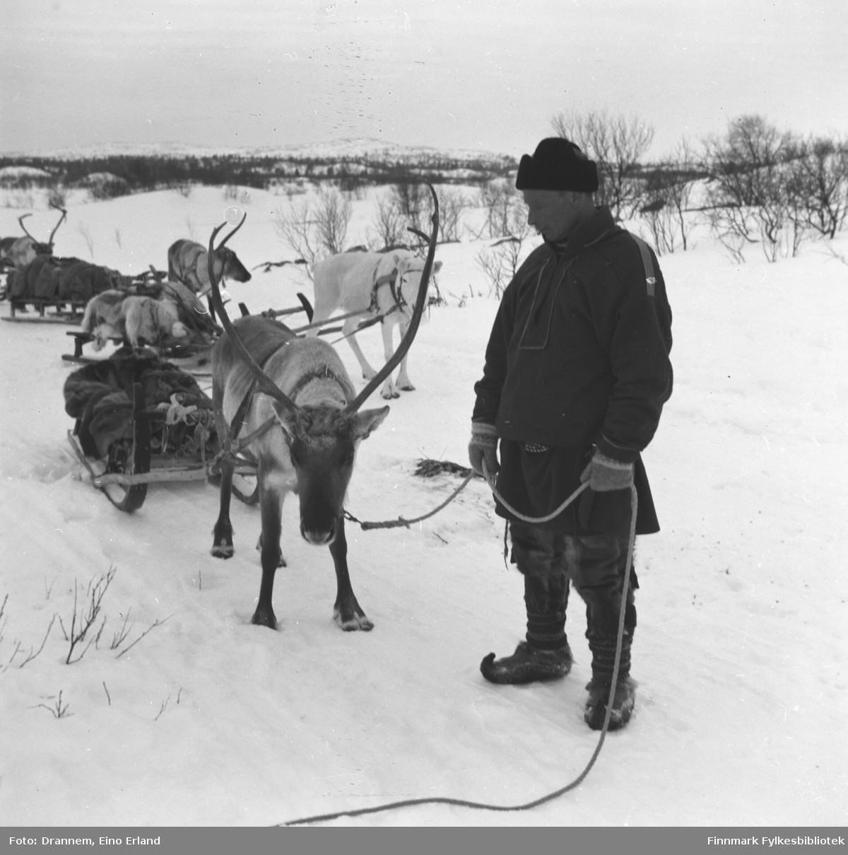 Emil Alfred Kaarret står foran flere kjørerein. Emil Alfred og kone Aune Katri Paltto bodde i Kyynelniemi ved Inarijärvi ( nord ved Enaresjøen).