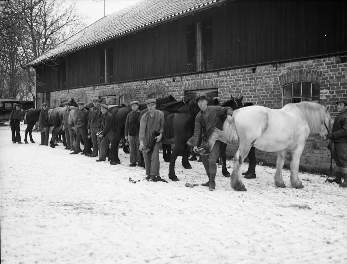"J.U.F.-tävlan i hovbeslag" i Lytta, Bälinge socken, Uppland januari 1935