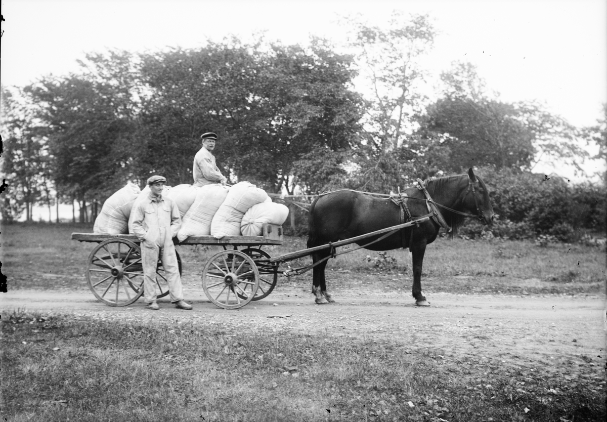 Två män vid hästkärra lastad med säckar, Sjötorget, Östhammar, Uppland