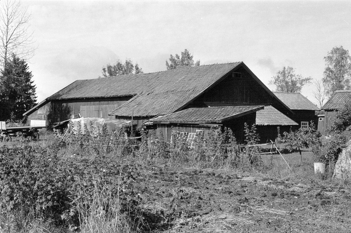 Vy från söder över Hånsta 2:3, Hånsta, Lena socken, Uppland 1978