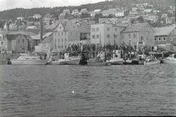Båter og publikum på fiskefestivalen i Harstad, 1977.