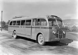 Rindalsbuss nr. 10 for Ekko Reklame