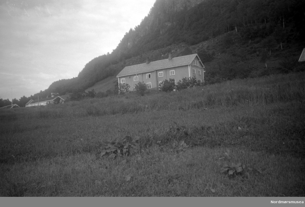 Brøskegården i Stangvik. Nerstua nærmest, med Oppistua i bakgrunnen.  På gården ser vi et våninghus med stående paneling. Bildet er datert oktober 1951. Nordmøre Museum