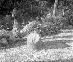 Furustokk på Stokke (Kommunen?). Funnet i myra under svart b