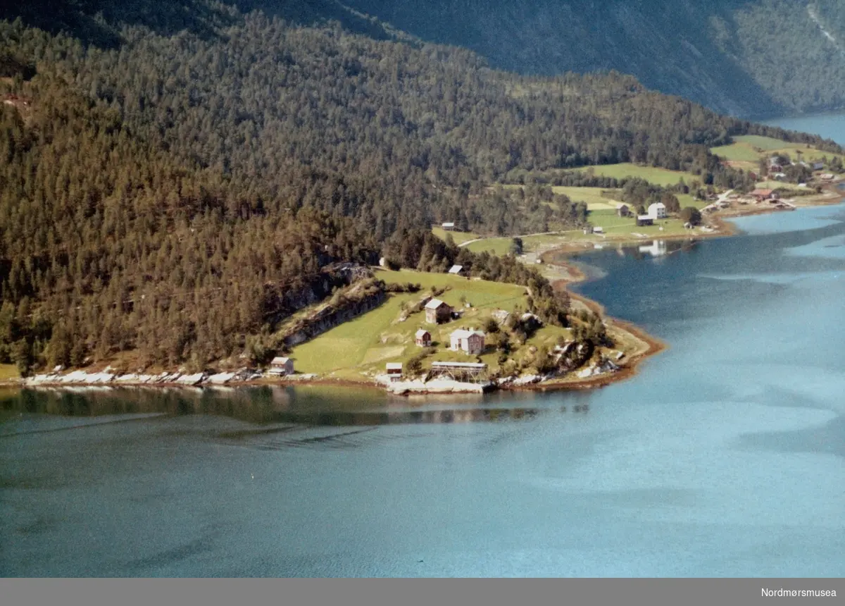 Flyfoto av "Hegernesset" i Todalen, Surnadal kommune. Da dette bildet ble tatt bodde trolig Per Hegenes på "Hegernesset". Bildet er datert 31. juli 1963. Fra Nordmøre Museums fotosamlinger.
