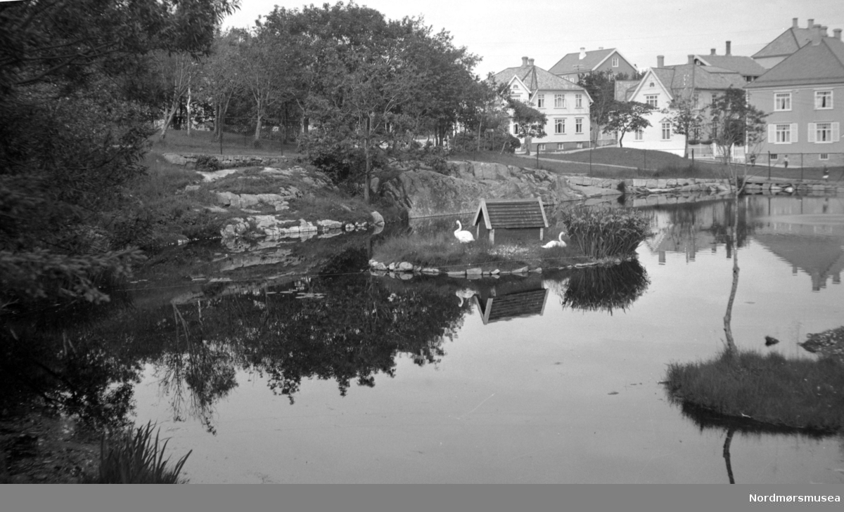 På bildet ser vi Svanedammen, den minste av 4 dammer som tilsammen utgjør Vanndamman på Kirkelandet i Kristiansund. Fra Nordmøre Museum sin fotosamling.