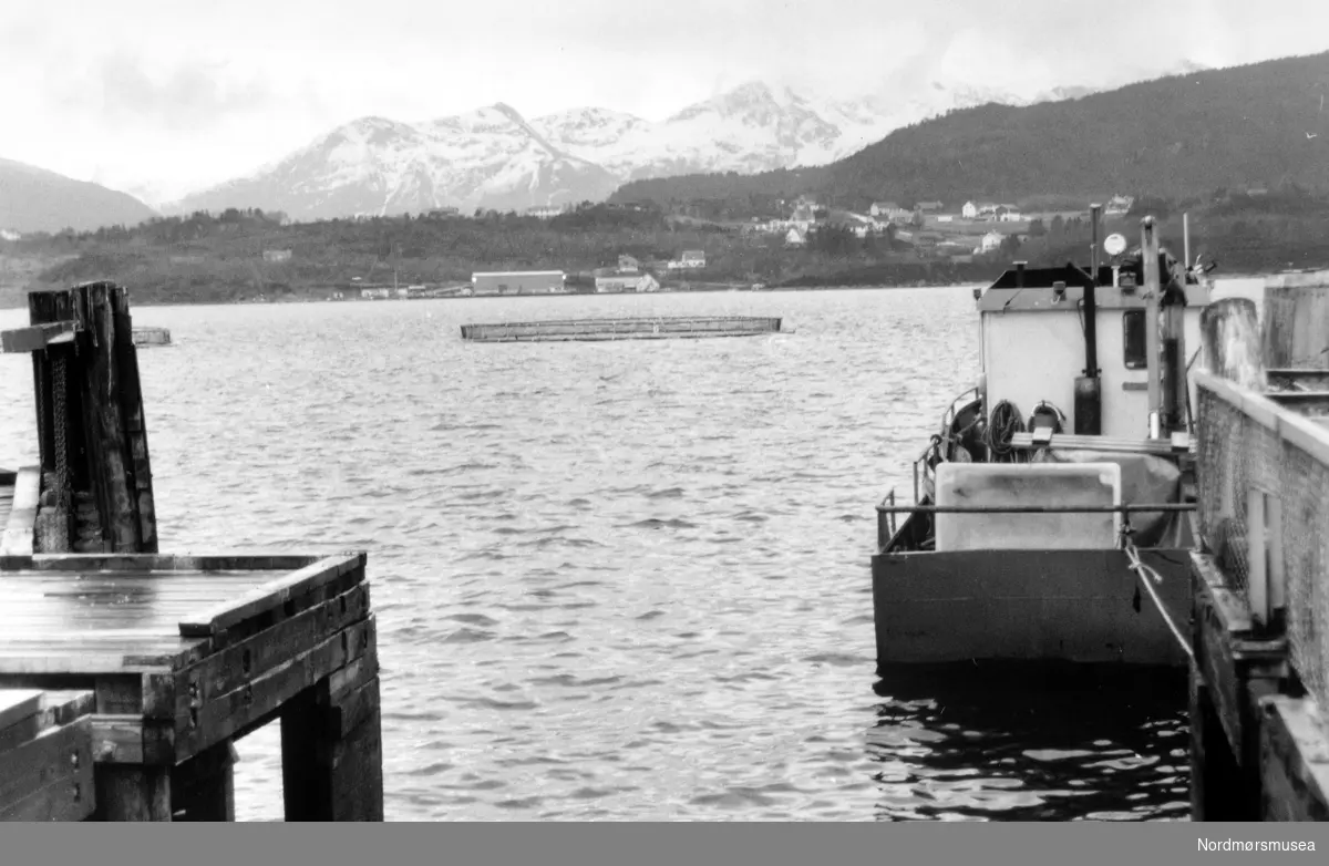 Foto fra et fiskeoppdrettsanlegg ute i fjorden, sett fra land. Det er usikkert hvor bildet er tatt. Avis/pressebilde fra Romsdalspostens sitt arkiv. Fra Nordmøre Museums fotosamlinger.
