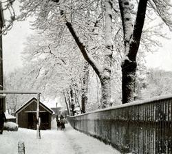 Parti fra Fosnagata i Vågen på Kirkelandet i Kristiansund, h