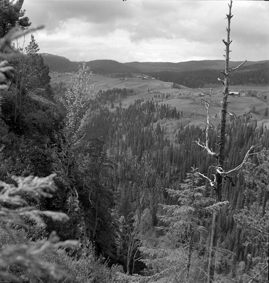 Nygårdsvollen ved Hommelvik