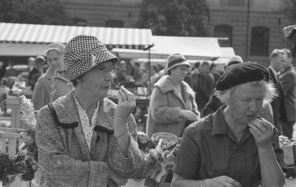På fotografisk vandring med Bertil Ludvigsson i 1960-talet. Kommentera gärna om du vet något om bilden.