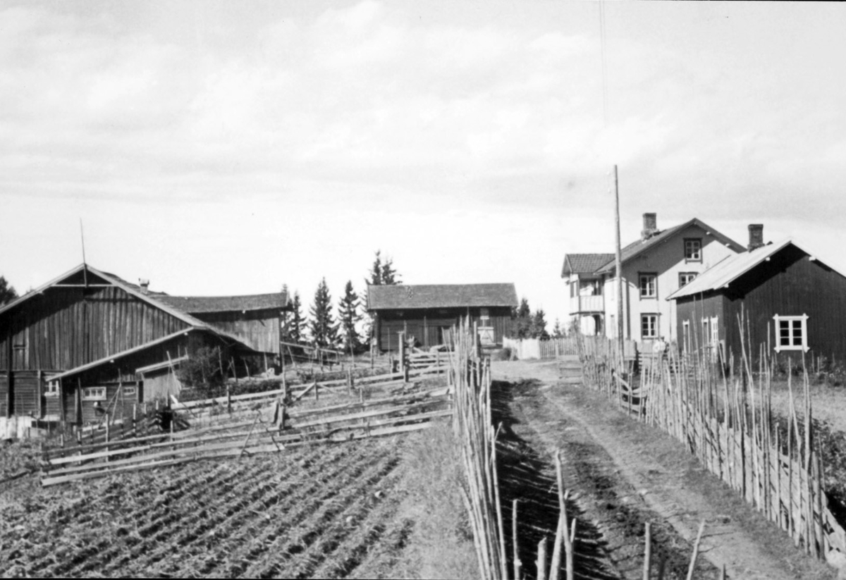 Vengshol vestre, 193-1, bebyggelsen, skigard, gjerde.