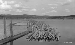 Tømmermoser utenfor lensene i Eidet i Tune i Østfold.  Her l