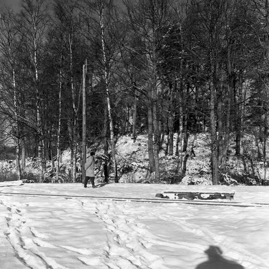 Piksborg från röjningsarbetet, februari 1960.