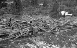Utislag fra Svanvollan i elva Lebba, et av elveløpene i Gaus
