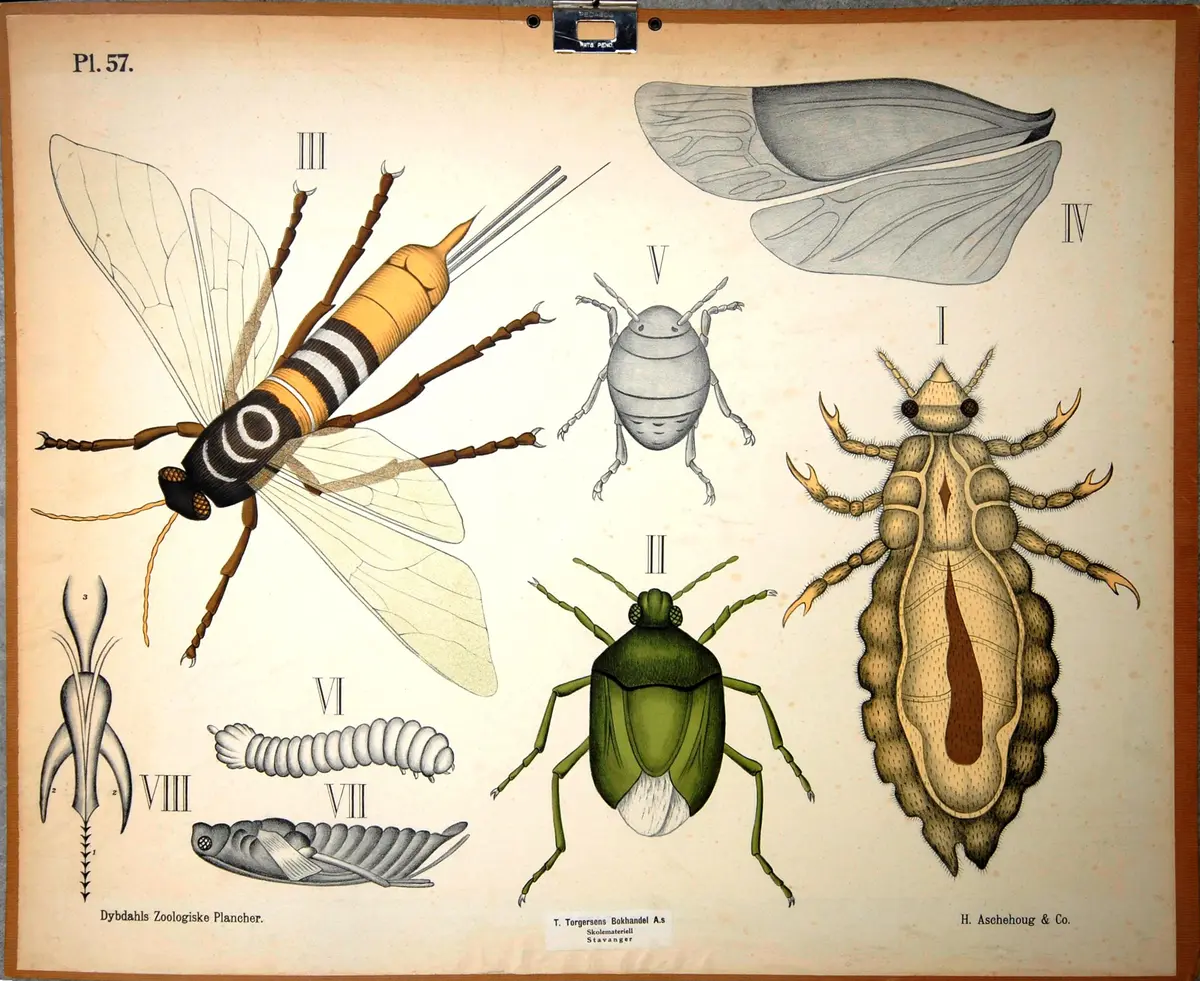 Stavanger skolemuseum