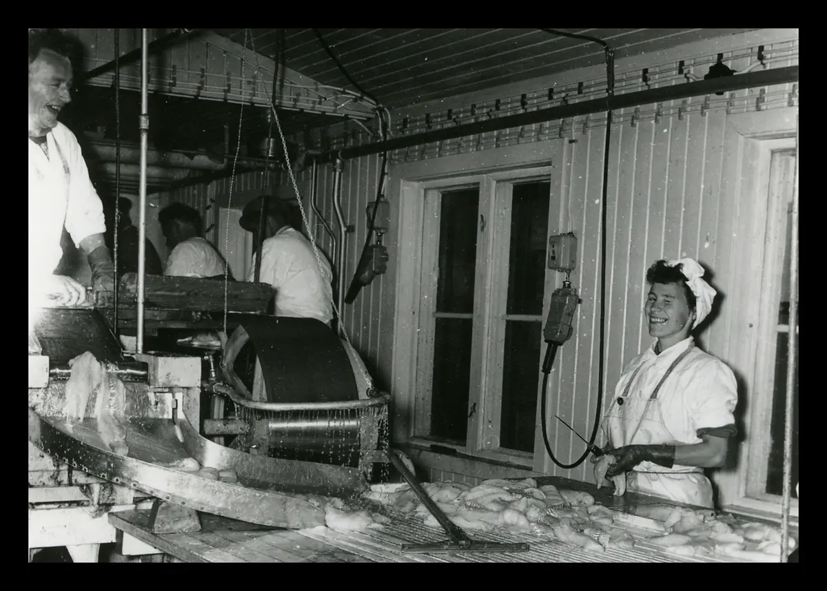 Museene for kystkultur og gjenreisning i Finnmark IKS