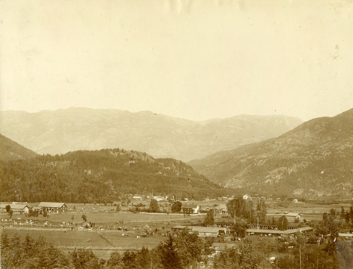 Dyrskuplassen i 1890-åra.