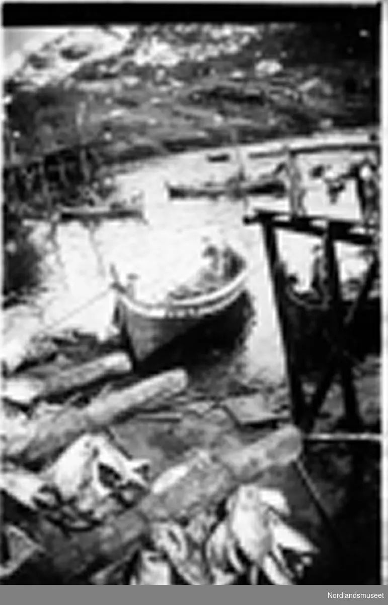 Gildeskålfolk på Lofotfiske med åtring.