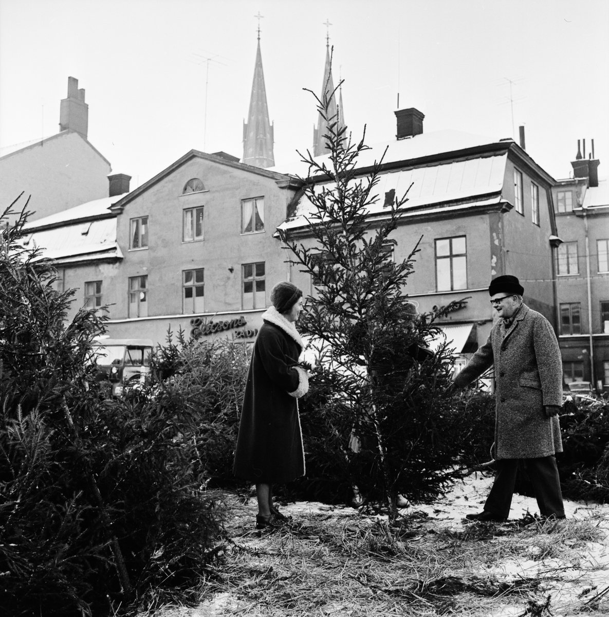 Julgransförsäljning Uppsala 1962 Upplandsmuseet Digitaltmuseum