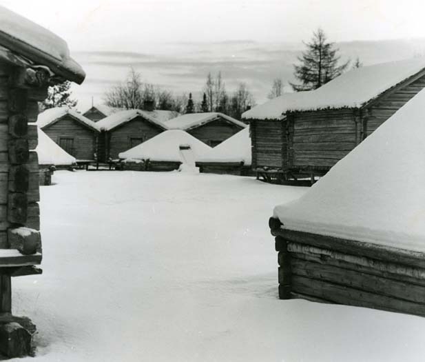 Vinterbild med timrade byggnader från lappbyn i Arvidsjaur.
