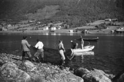 "Tur til Ålesund i pinsa 1960" .Tomrefjorden. Frå Frostad mo