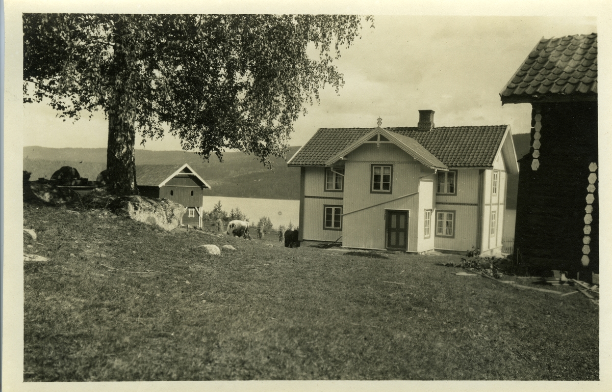 Bøhle - Lands Museum / DigitaltMuseum