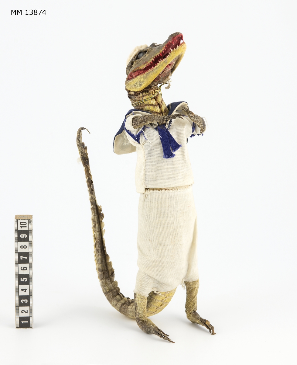 Uppstoppad alligator som står på två ben. Alligatorn är klädd i vit blus med blåkrage och vita byxor samt vit mössa.