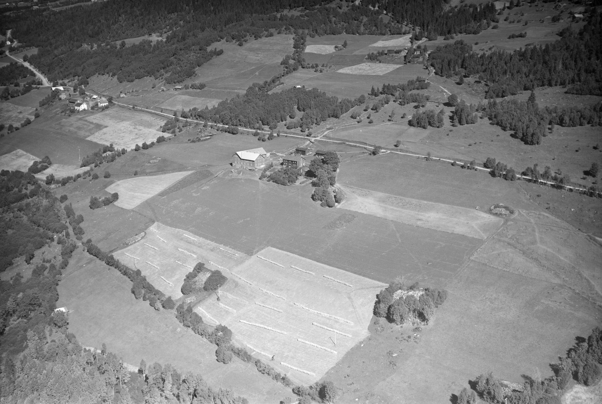 Houm gård, Øverbygda, Østre Gausdal, 1952, åkrer, slåttemark, veier, blandingsskog, oversikt