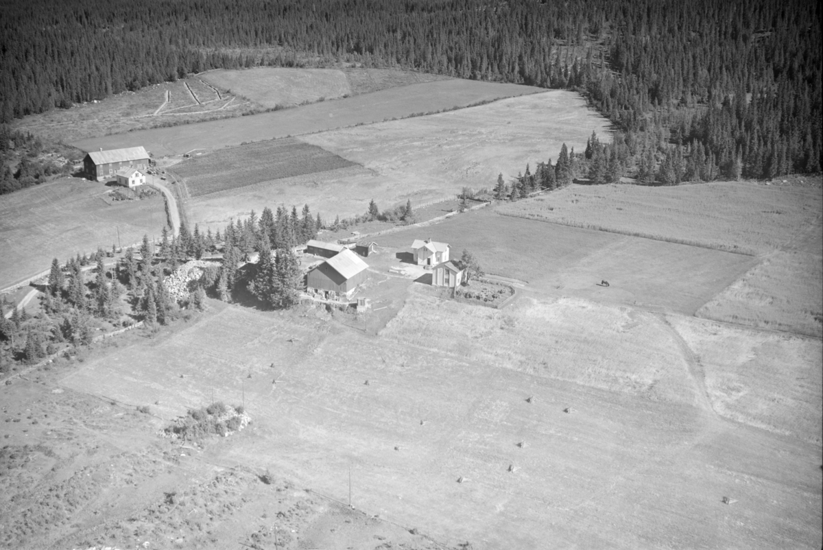 Gårdsbruk i Østre Gausdal