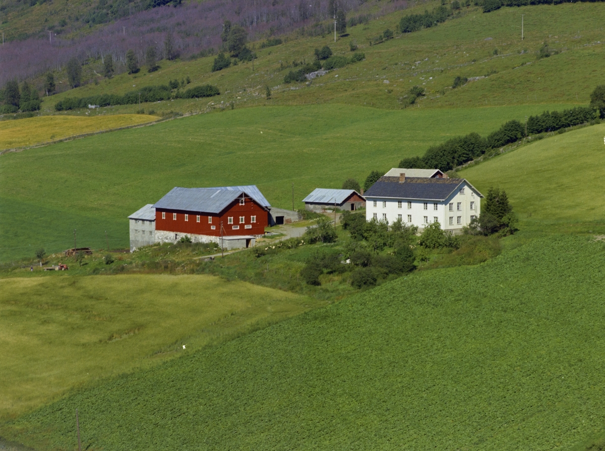 Myhre. Gårdsbruk. Hvit bygning, rødt uthus, vinkel og påbygd. to mindre hus. Hage og dyrka mark.
