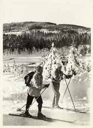 På tur i Nordmarka v/Skjærsjøen. Ullevålsetra i bakgr.