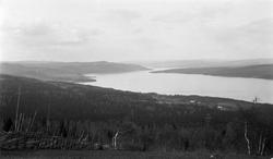 Utsikt over Mjøsa mot Gjøvik. Fotografens standplass har tro