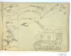 Anatomiske studier av mann og hest, studie av ansikt og natu