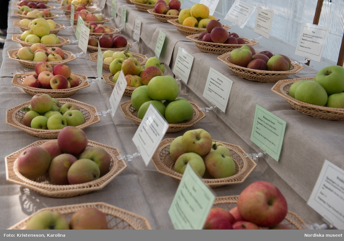 Äppeldagarna Julita 2015, Äpplen, marknad, artbestämning, äppelutställning