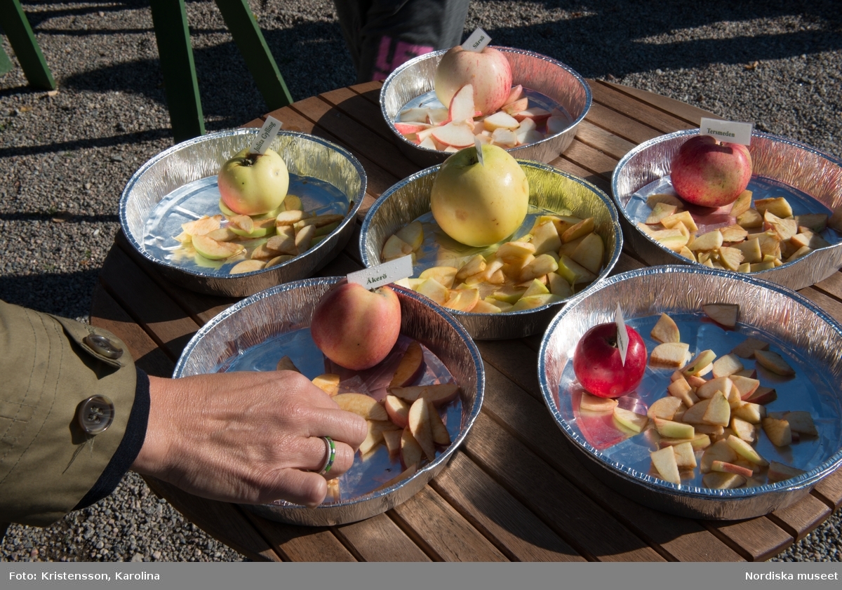 Äppeldagarna Julita 2015, Äpplen, marknad, butiken