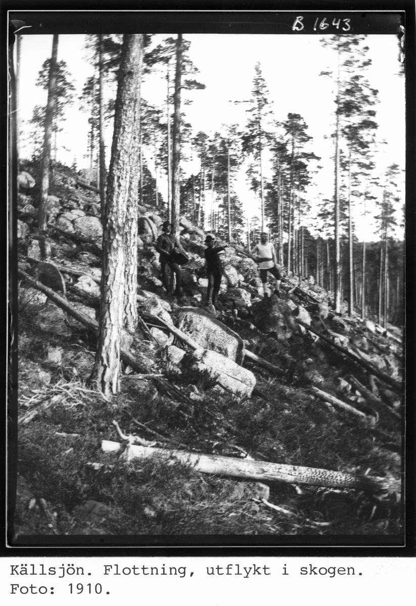 Källsjön. Flottning, utflykt i skogen. Foto: 1910.