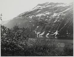 Det blomstrer i Hardanger