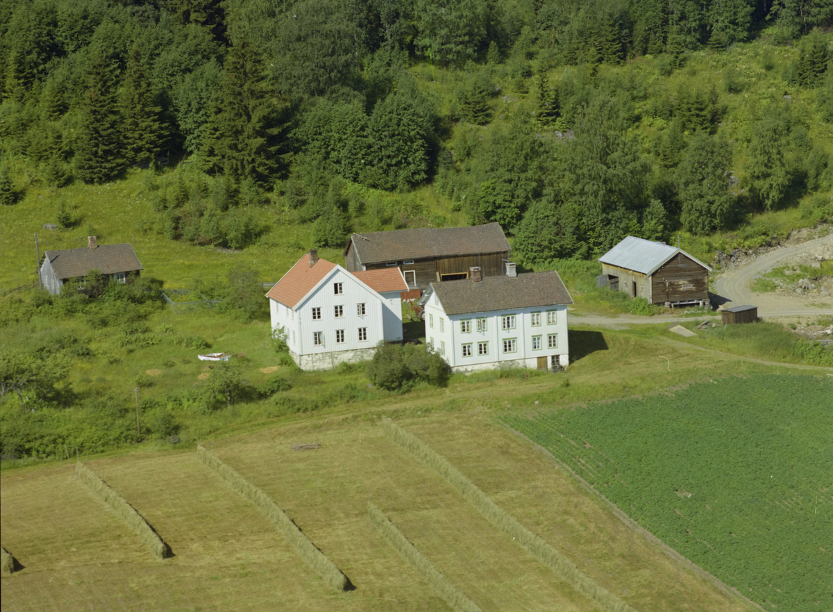 Audenhus, Vingrom, gårdsbruk med to våningshus og driftbygninger, kulturlandskap, hesjer.