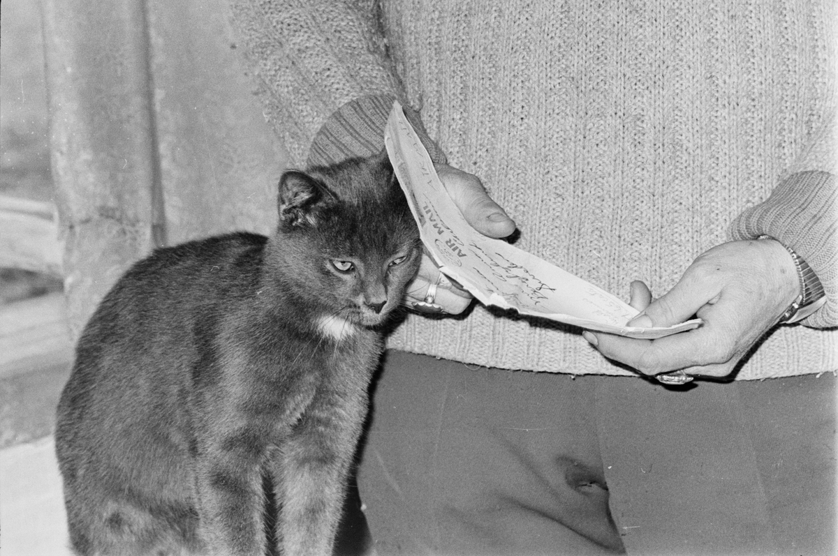 Brev och katt, Riala, april 1967