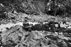 Foto fra Grytviken i Sør-Georgia, og fra en norsk hvalstasjo