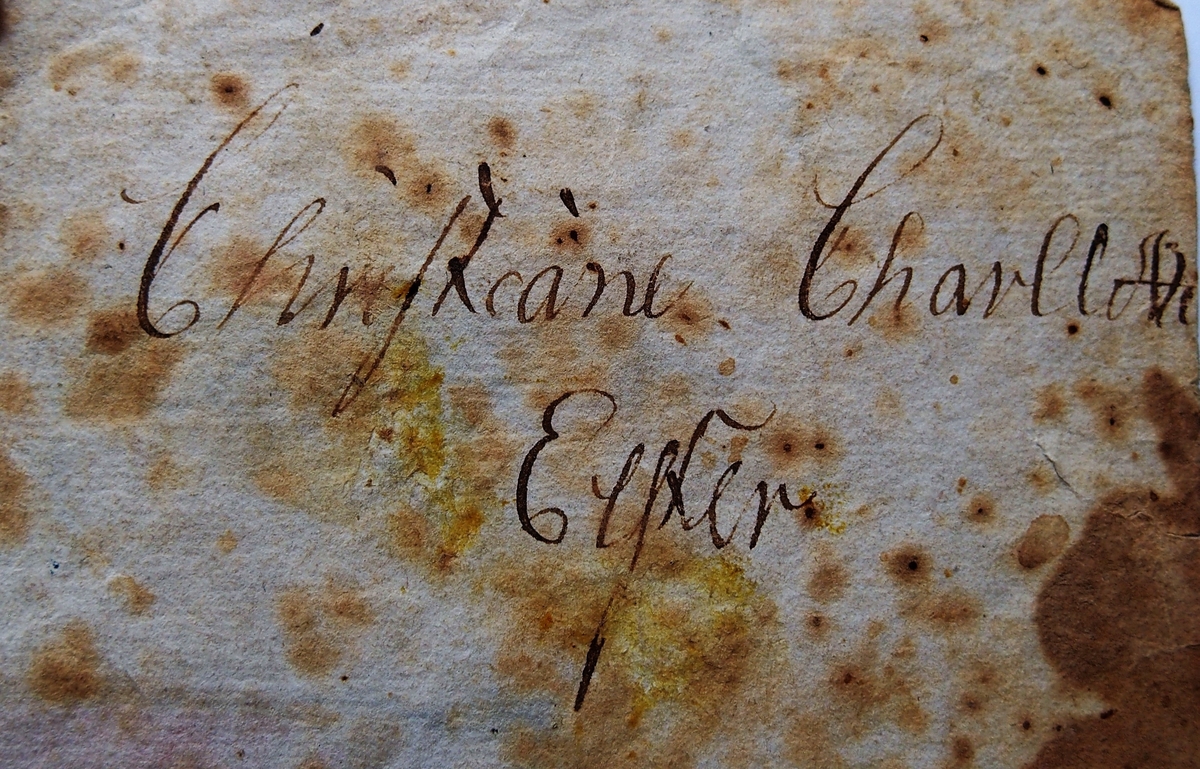 Personer i selskapsliv og ved andre anledninger i Trondheim og Orkdal.