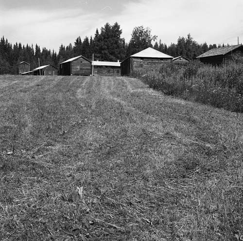 Gården Ersk-Mats fotograferad från en distans den 27 juli 1982 i Hassela.