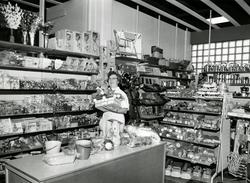 Lambertseter S-lag. November 1960