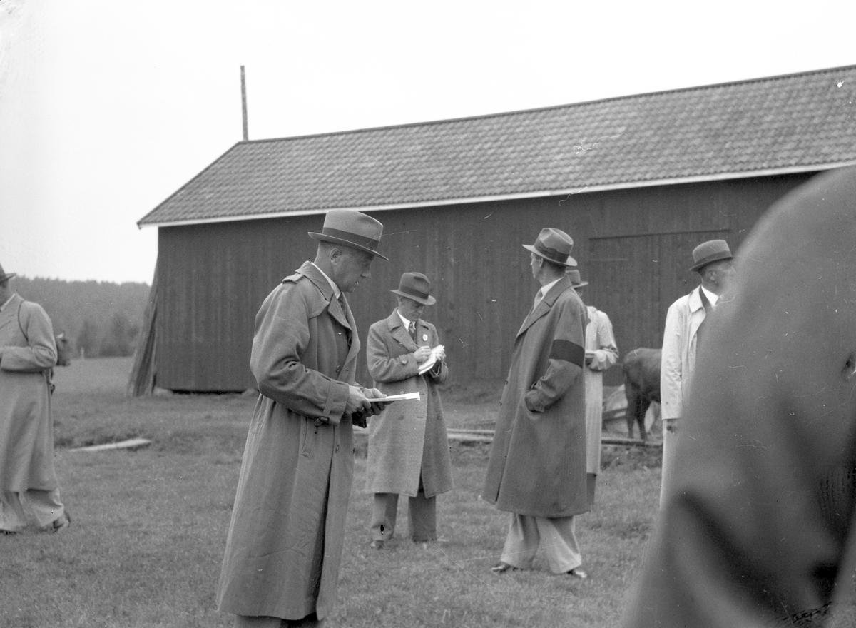 Mosskulturföreningen. Hushållningssällskapet. Augusti 1937

