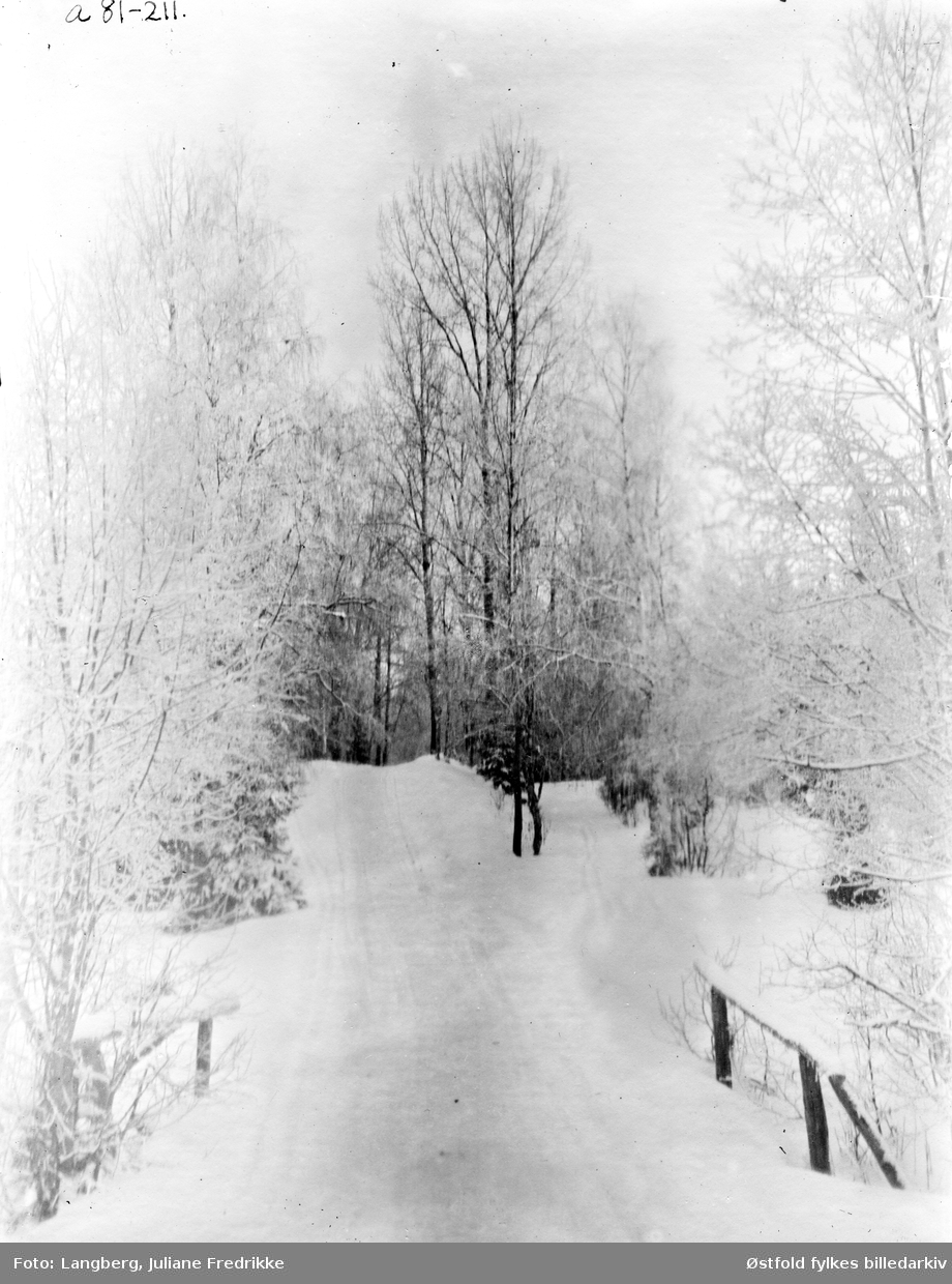 Vinterbilde fra Bergenhus kapellangård i Rakkestad (prestegård) ca. 1895.