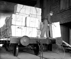 Borregaard fabrikker, Sarpsborg, cellullfabrikken, inntak av