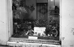 Blomsterbilder - Dybdahl Henriksen - 4/5-1972.